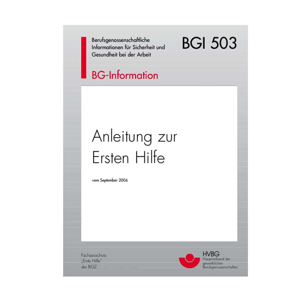 Holthaus Medical Broschüre zur Ersten Hilfe nach BGI 503